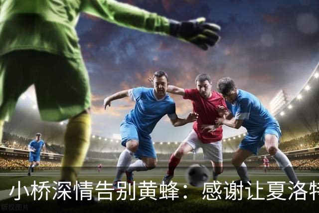 小桥深情告别黄蜂：感谢让夏洛特成为我的家 这里永远无可替代