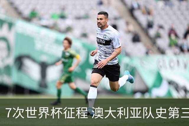 7次世界杯征程 澳大利亚队史第三次小组赛出线